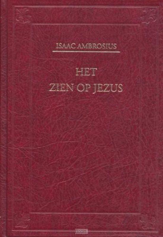 Het Zien Op Jezus Tweedehands Boekenbalie