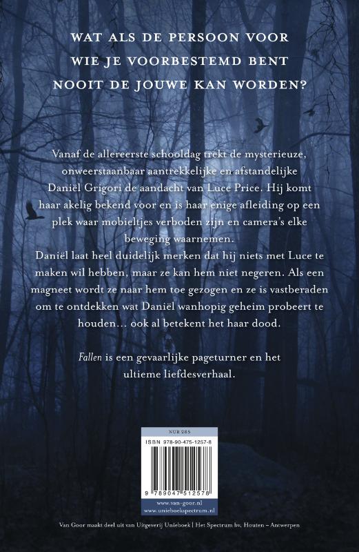 Fallen 1 -   Fallen achterkant