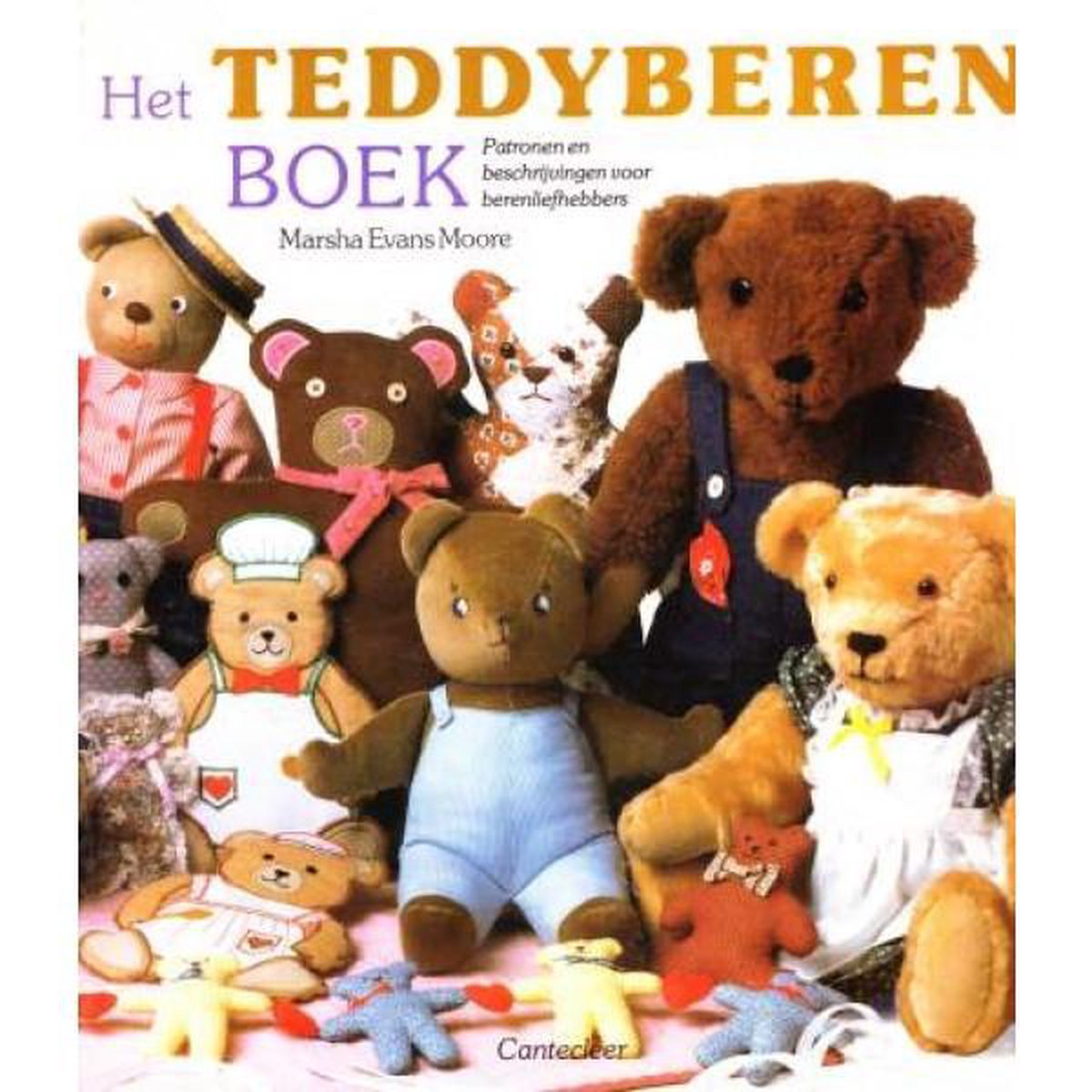 Het Teddyberen boek