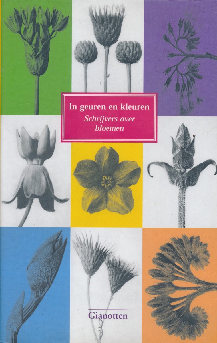 In Geuren En Kleuren